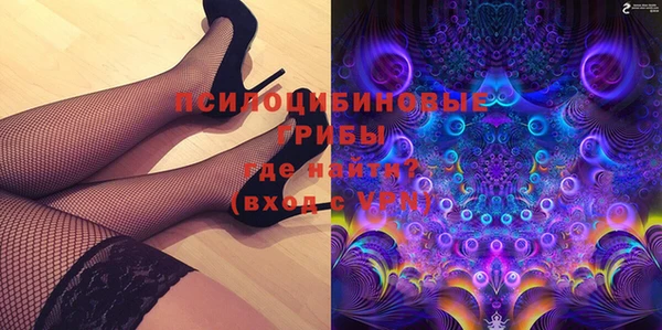 дмт Гусь-Хрустальный