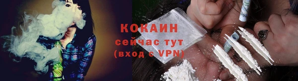 дмт Гусь-Хрустальный