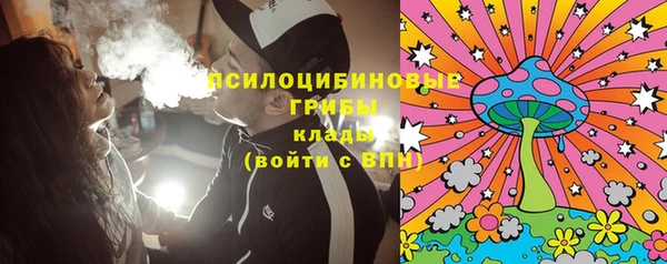 ALPHA PVP Гусев
