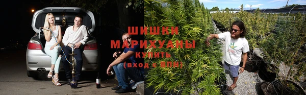 мяу мяу мука Дмитриев
