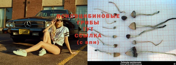 дмт Гусь-Хрустальный
