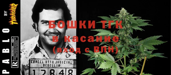 ALPHA PVP Гусев