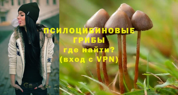 ALPHA PVP Гусев