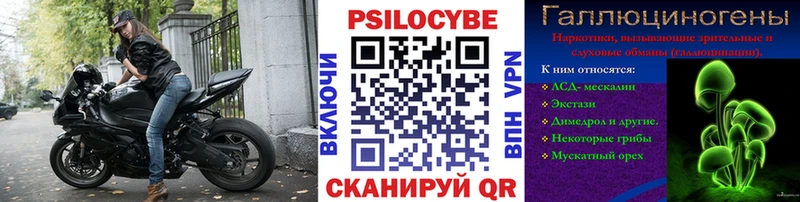 Купить закладки Зеленодольск Галлюциногенные грибы Psilocybe
